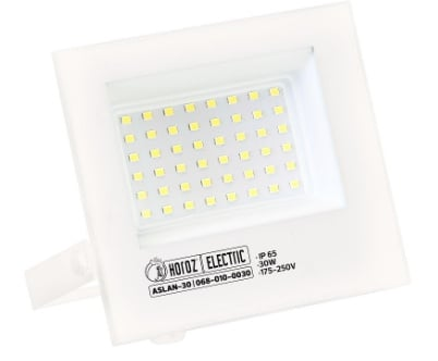 Aslan 30 Led Projector 2700k Wit