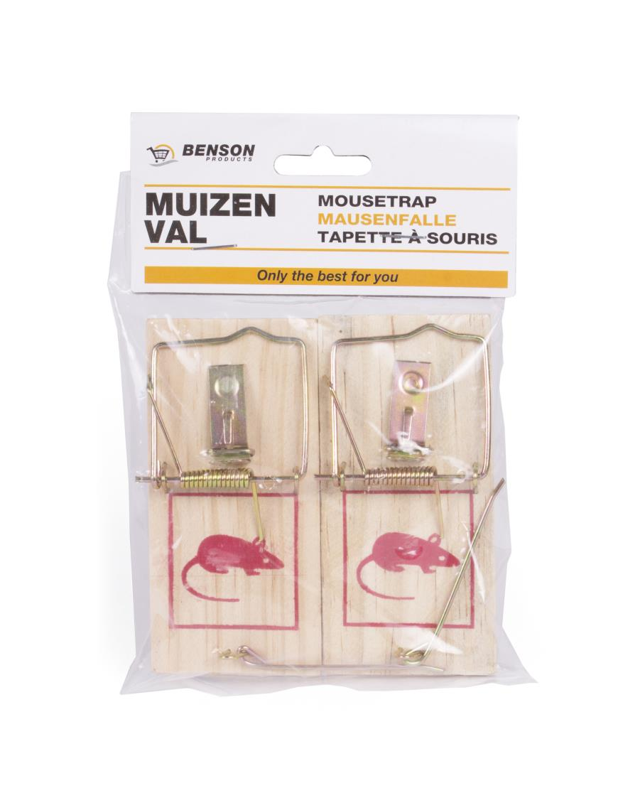 Benson Muizenval 2st 2