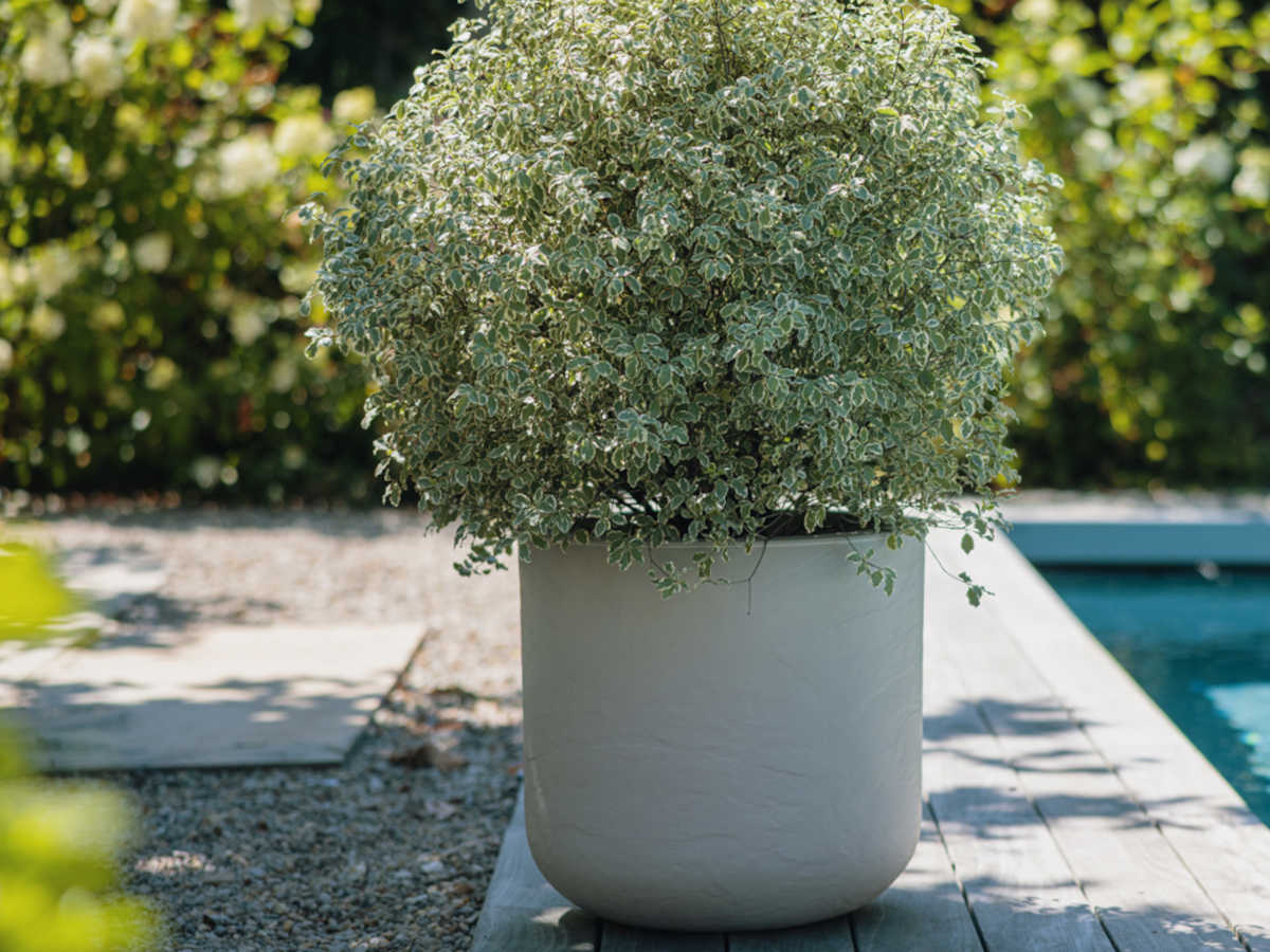 Bloempot Volcania 48.5 cm Beige Kalk 2