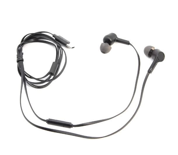 Budi Oortjes Zwart Usb C 4