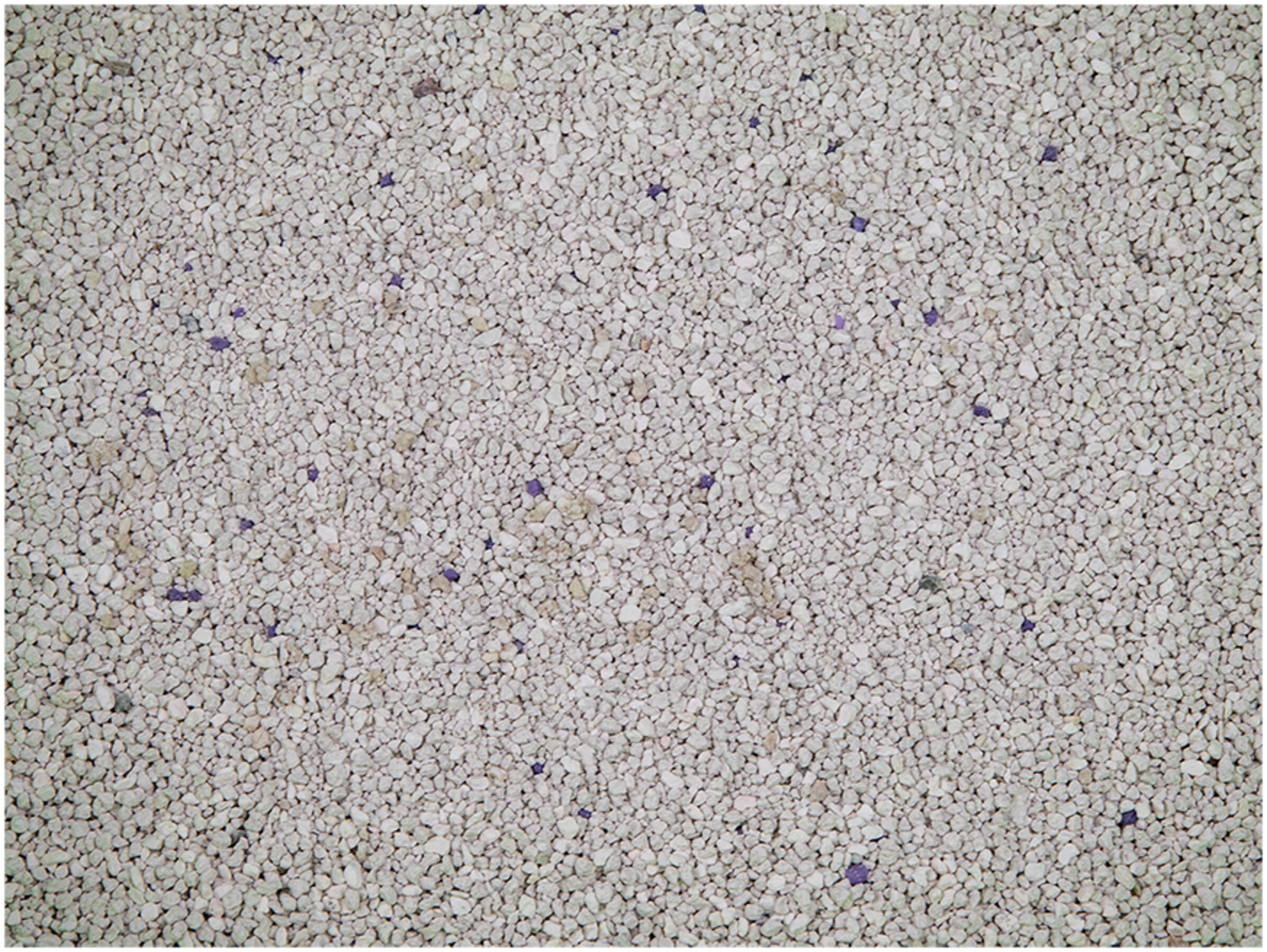 Cat Litter White Coarse 10 kg 3