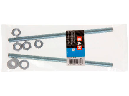 Draadeinde+ Moer Verz. 2st M10 X 200 mm 3