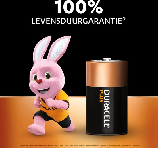 Duracell Batterij D 2