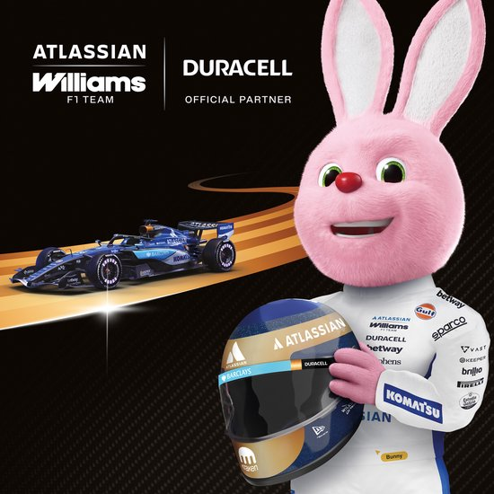 Duracell Batterij D 3
