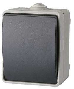 Enkelp Schakelaar Ip 54 Grijs