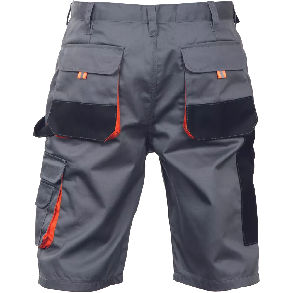 Ff Carl Be-01-009 Shorts Grijs 48 2