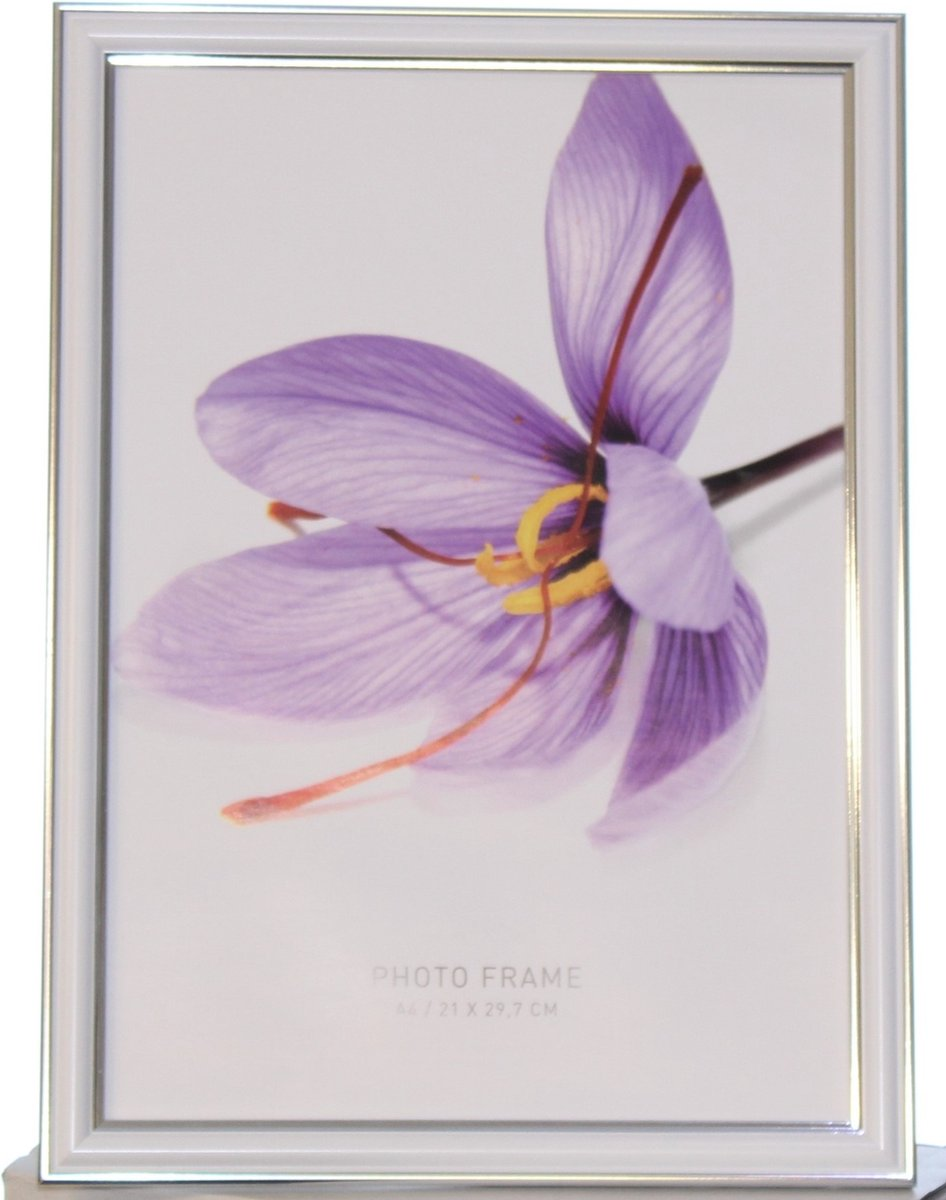 Fotolijst Wit Zilver 21x29.7cm 2