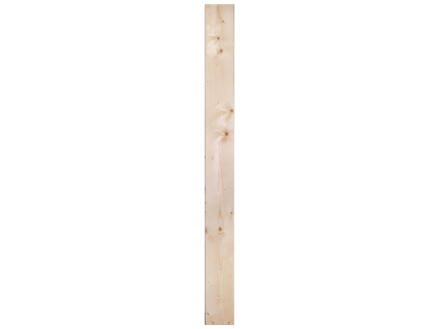 Fsc/sl20x200 Vuren 210 cm