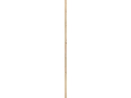 Fsc/sl40x50 Vuren 210 cm