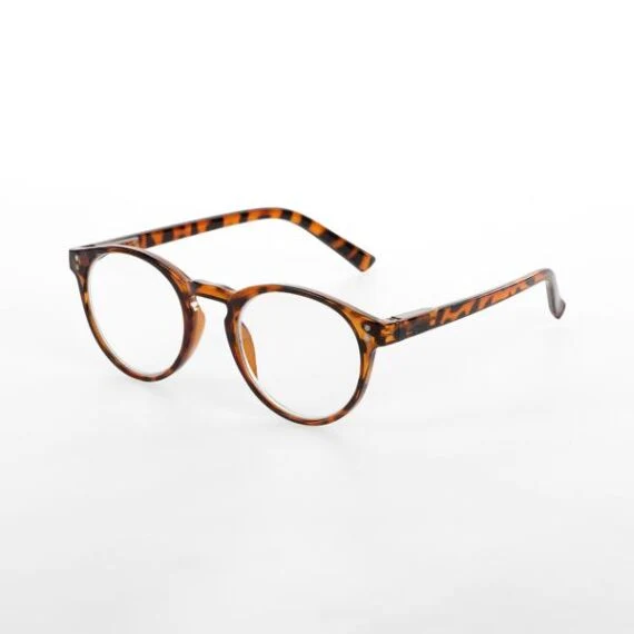 Leesbrillen Model 4 Brown +2.50