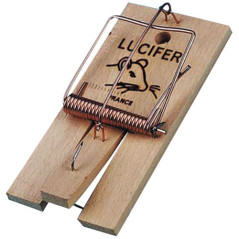 Lucifer Muizenval Groot 2
