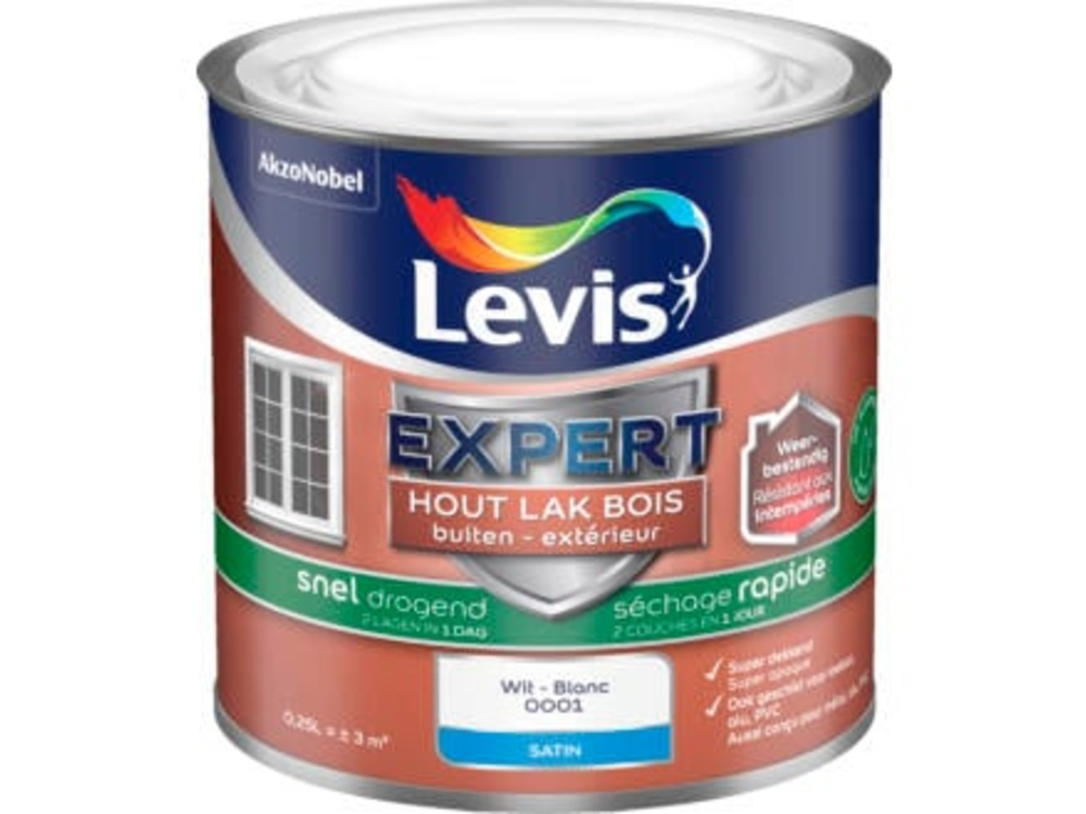Lv Expert Lak Water 0.25 l Wit Satin