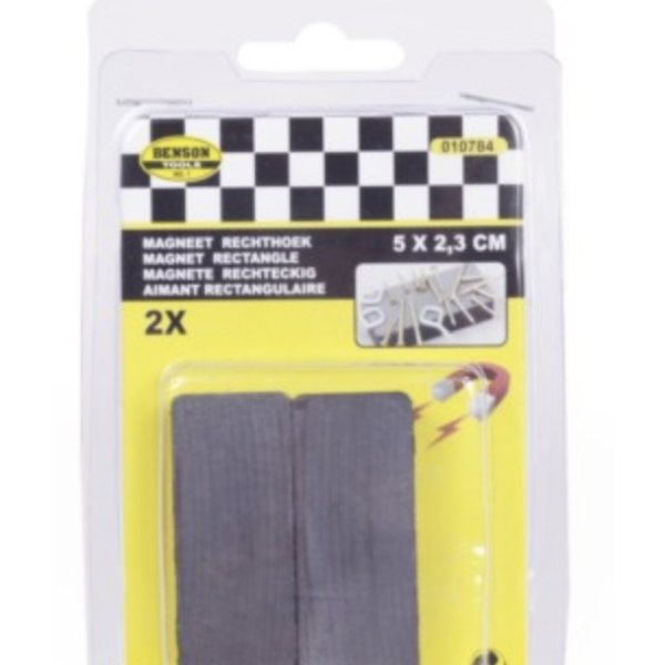 Magneet Groot 2st 2
