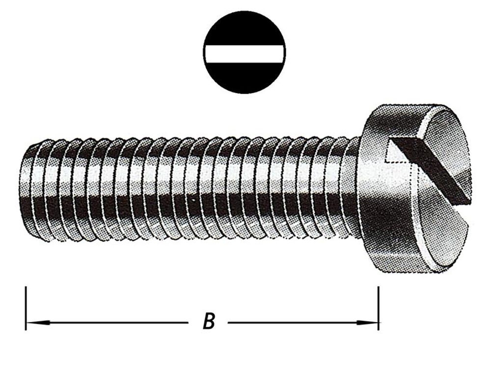 Metaalbouten Cil.kop met Moer M4 X 25 mm