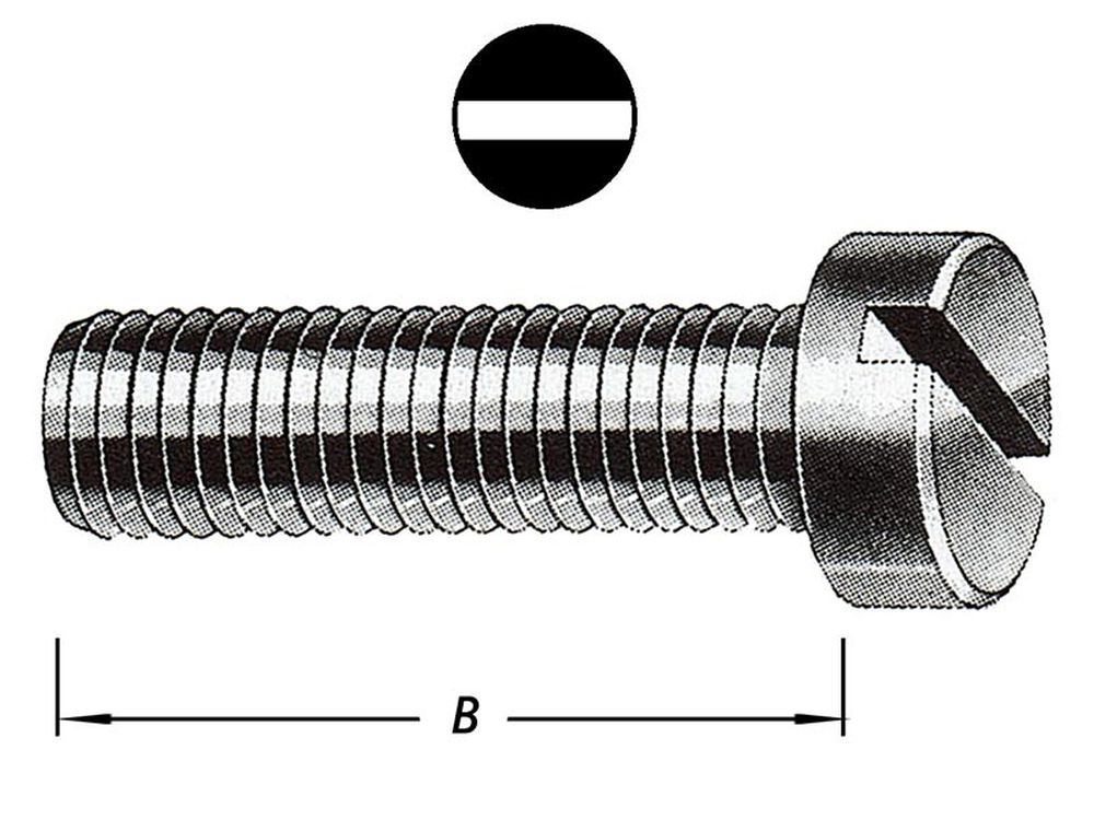 Metaalbouten Cil.kop met Moer M6 X 50 mm