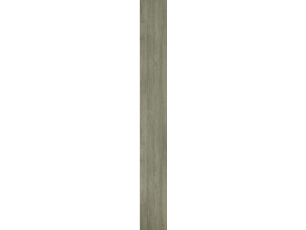 Mp 18/250x30 Vergrijsd Eik