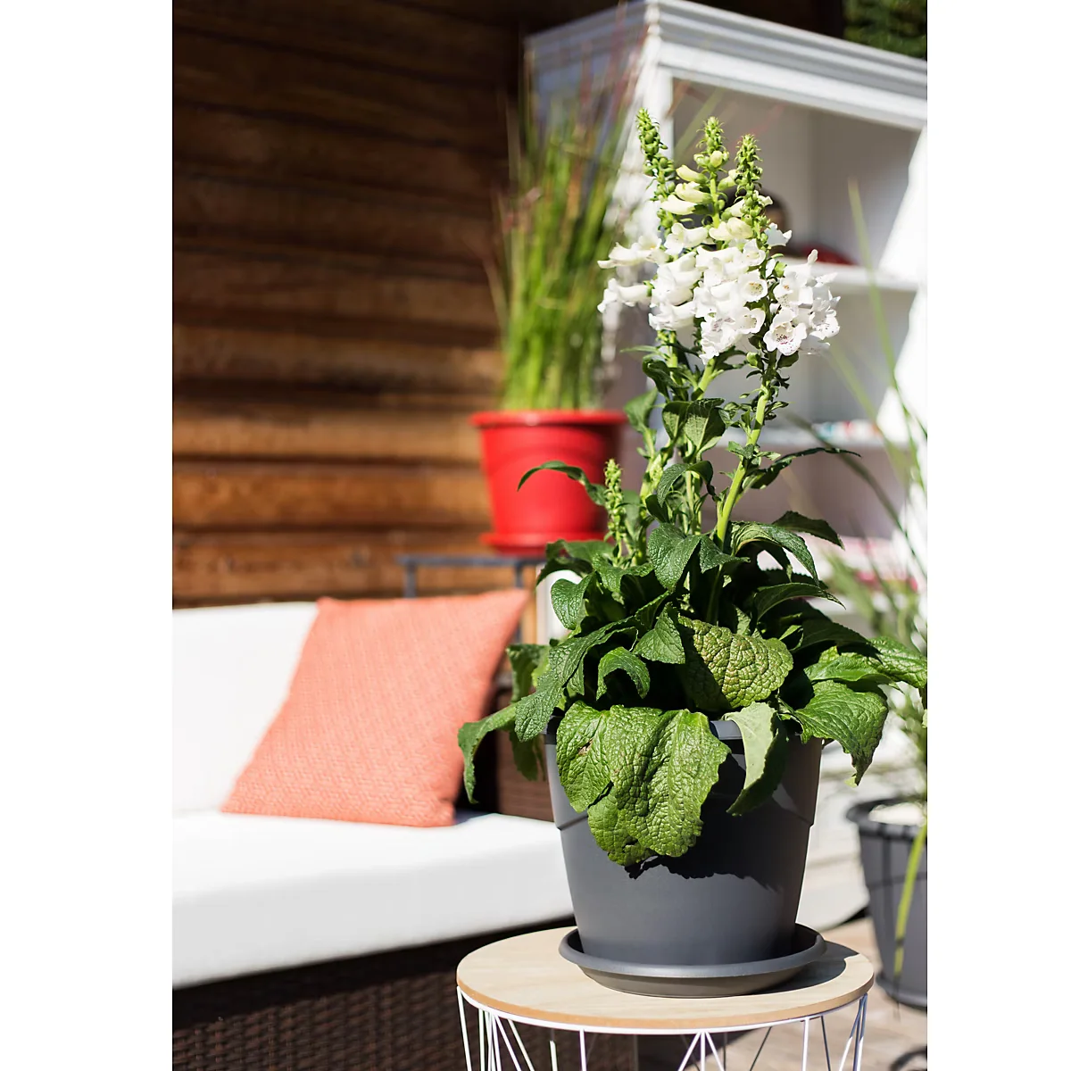 Onderschotel Marina 30 cm Antr 2