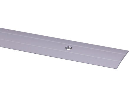 Overgangsprof.gv Zilver Schroef 38x950mm