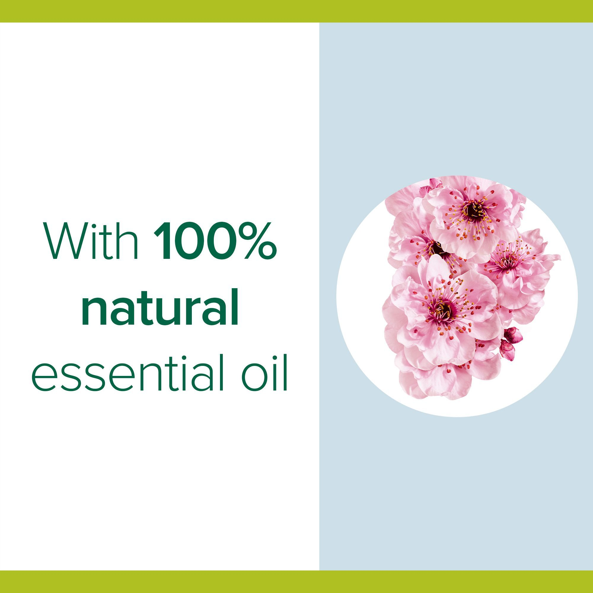 Palmolive Zeep Blossom 250 ml 3