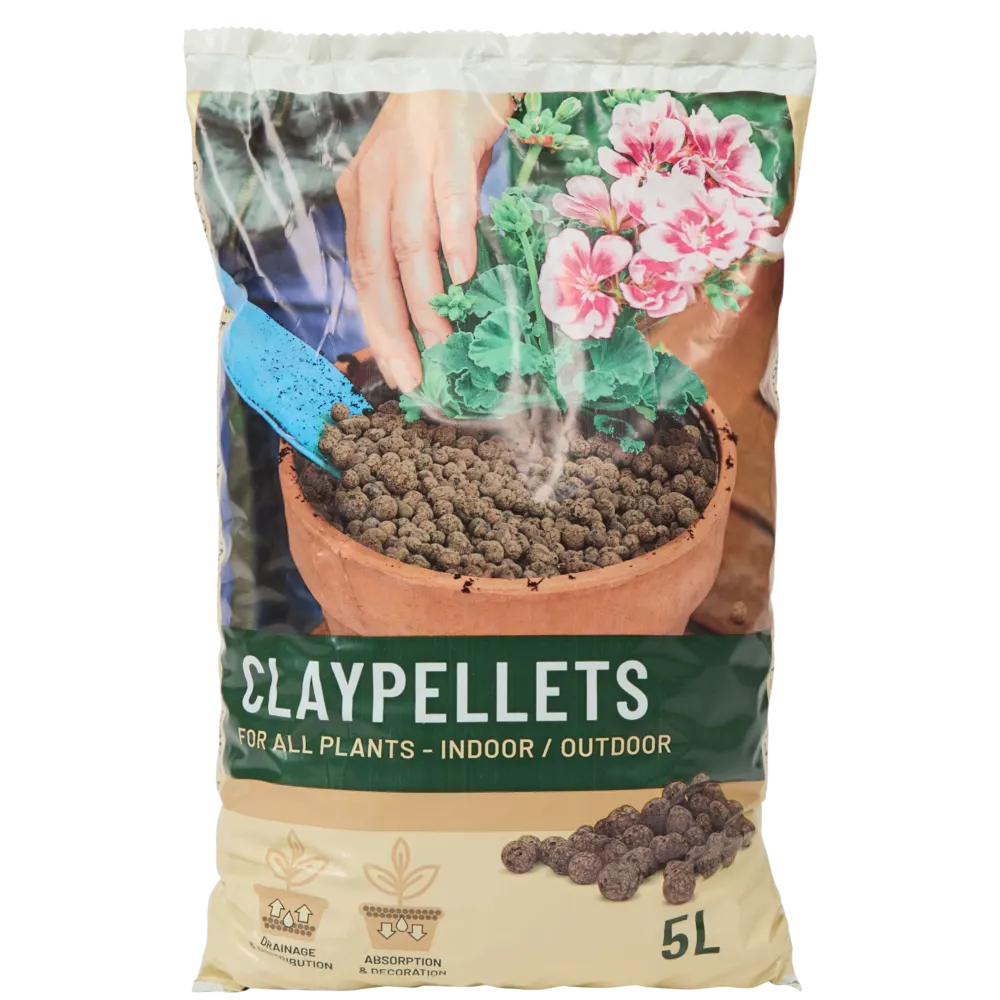 Planten Voeding Huisplanten 2