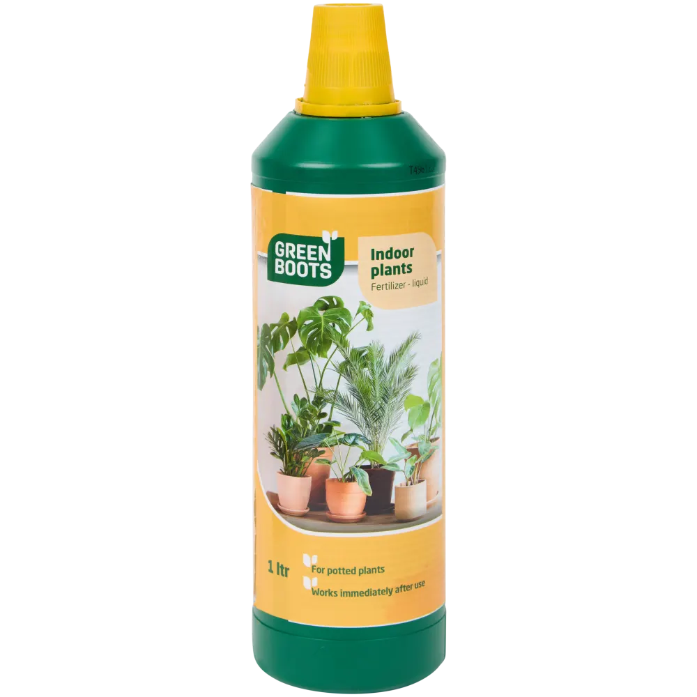 Planten Voeding Huisplanten