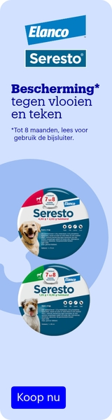 Promo Dekzeil 1.5x12m 3