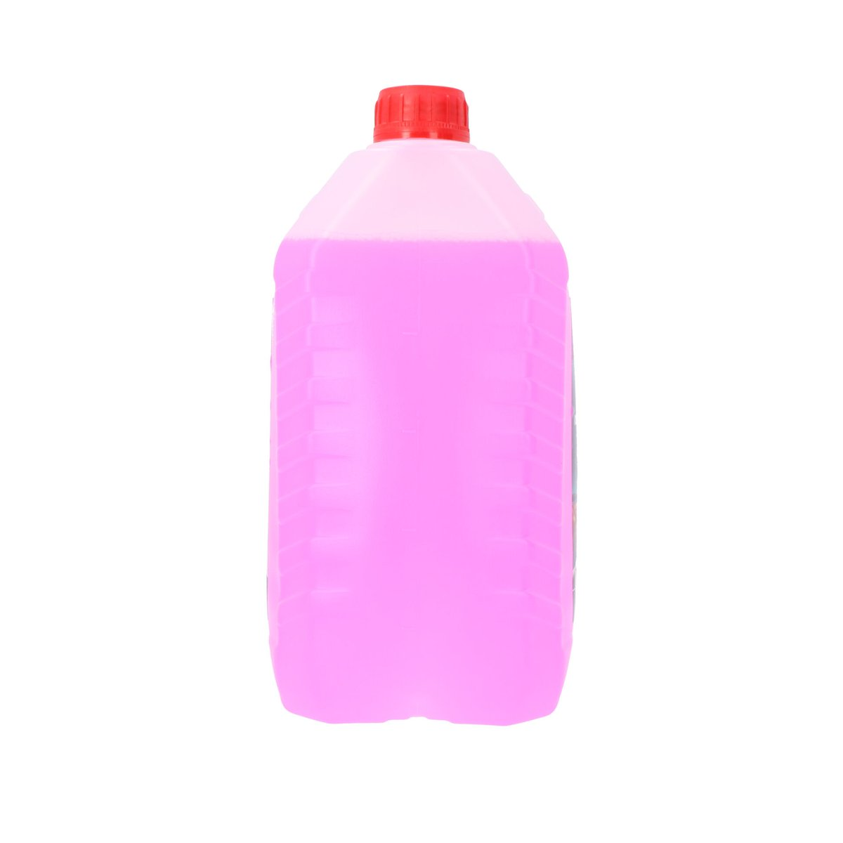 Protecton Screenwash 5 l 4