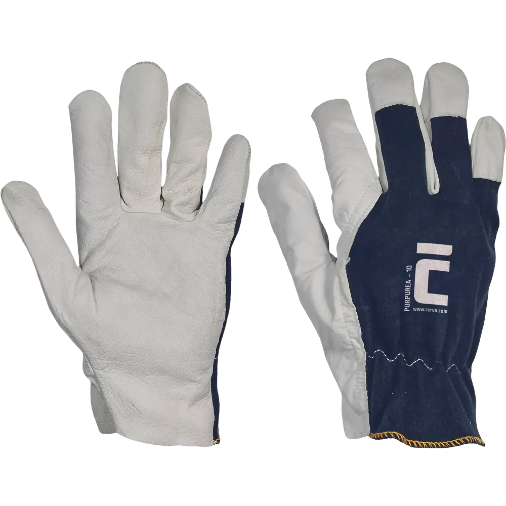 Purpurea Handshoen Blister - 10 5