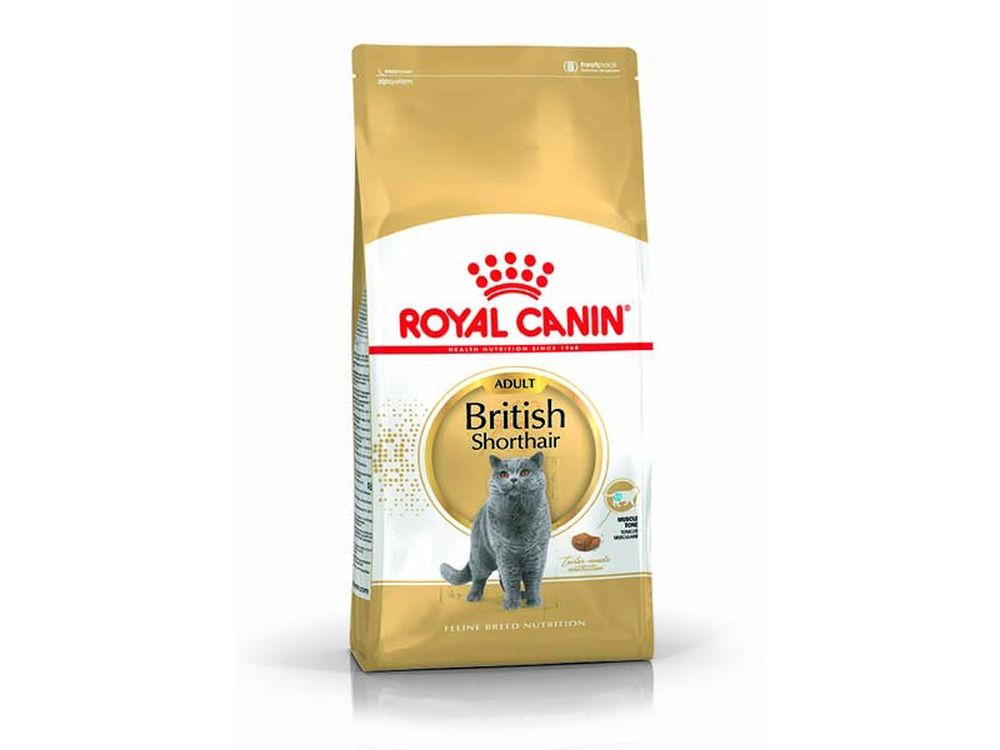 Rc British Shorthair 2 kg