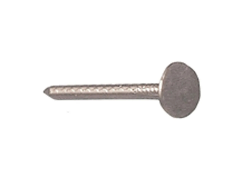 Schalienagels, Brede Kop 10 mm 3 X 40 mm