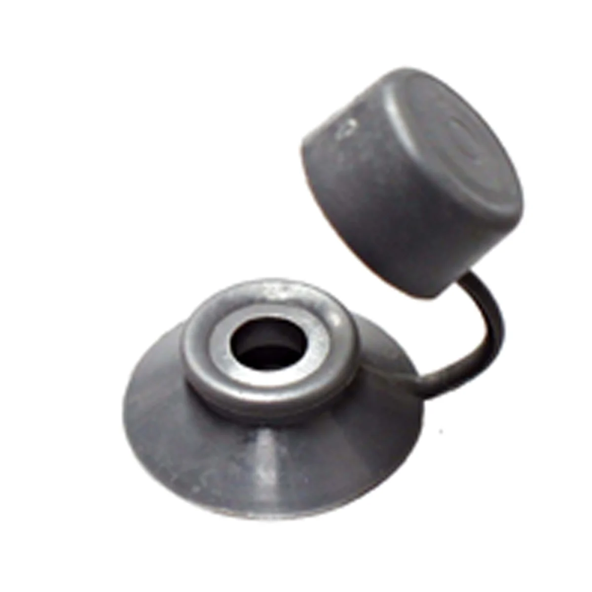 Sluitschelpen Houtdraadbout 7 X 28 mm