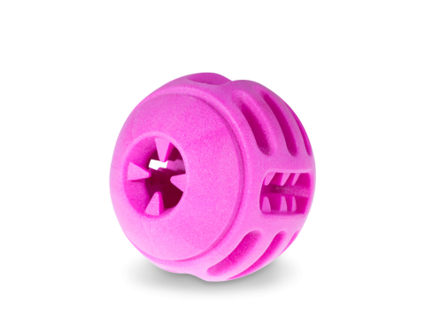 Speelgoed Bal Red Frutti Hond 5