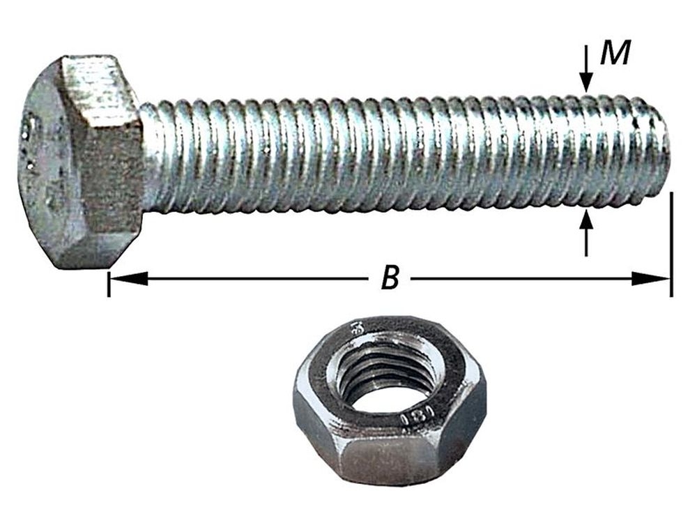 Tapbouten met Moer, Rvs M6 X 50 mm