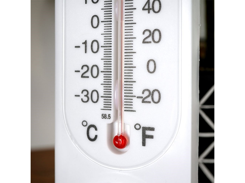 Thermometer met Hygrometer 22 cm 6
