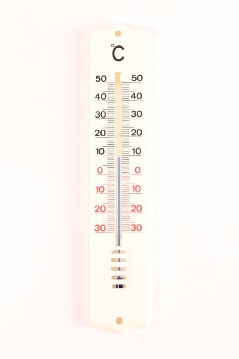 Thermometer Plastiek 21 cm 101032 (10) 2