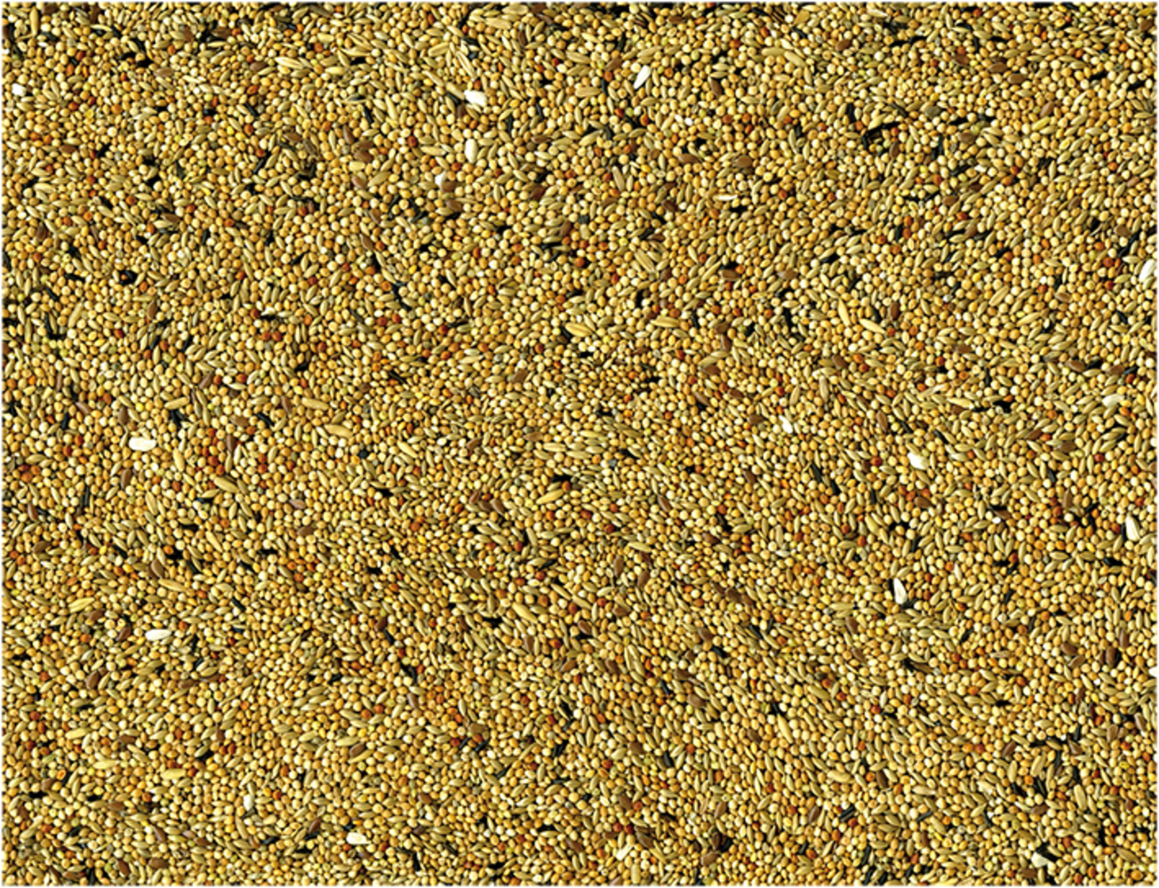 Vadigran Budgies Parkiet 1 kg 2
