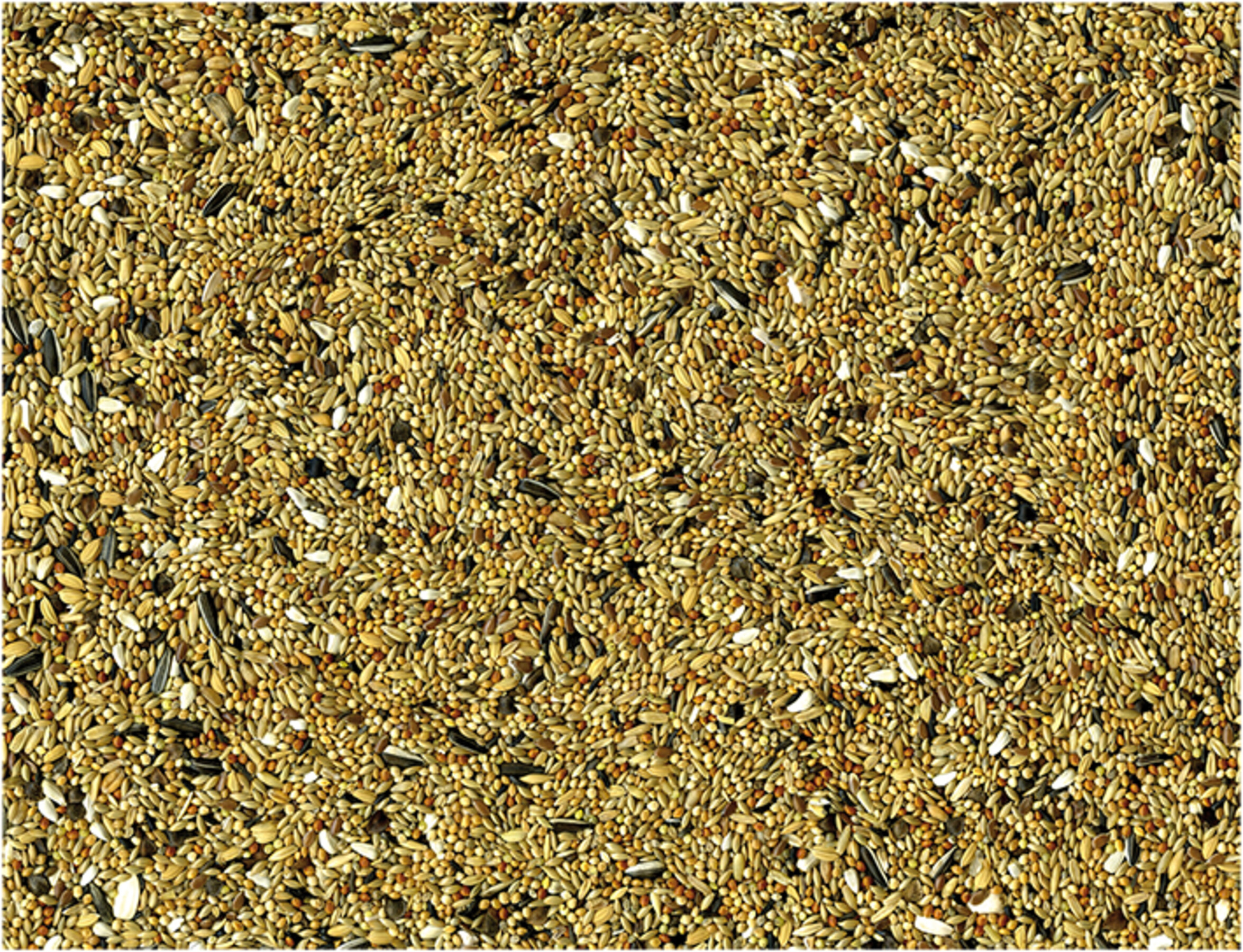 Vadigran Grote Parkieten 1 kg 2