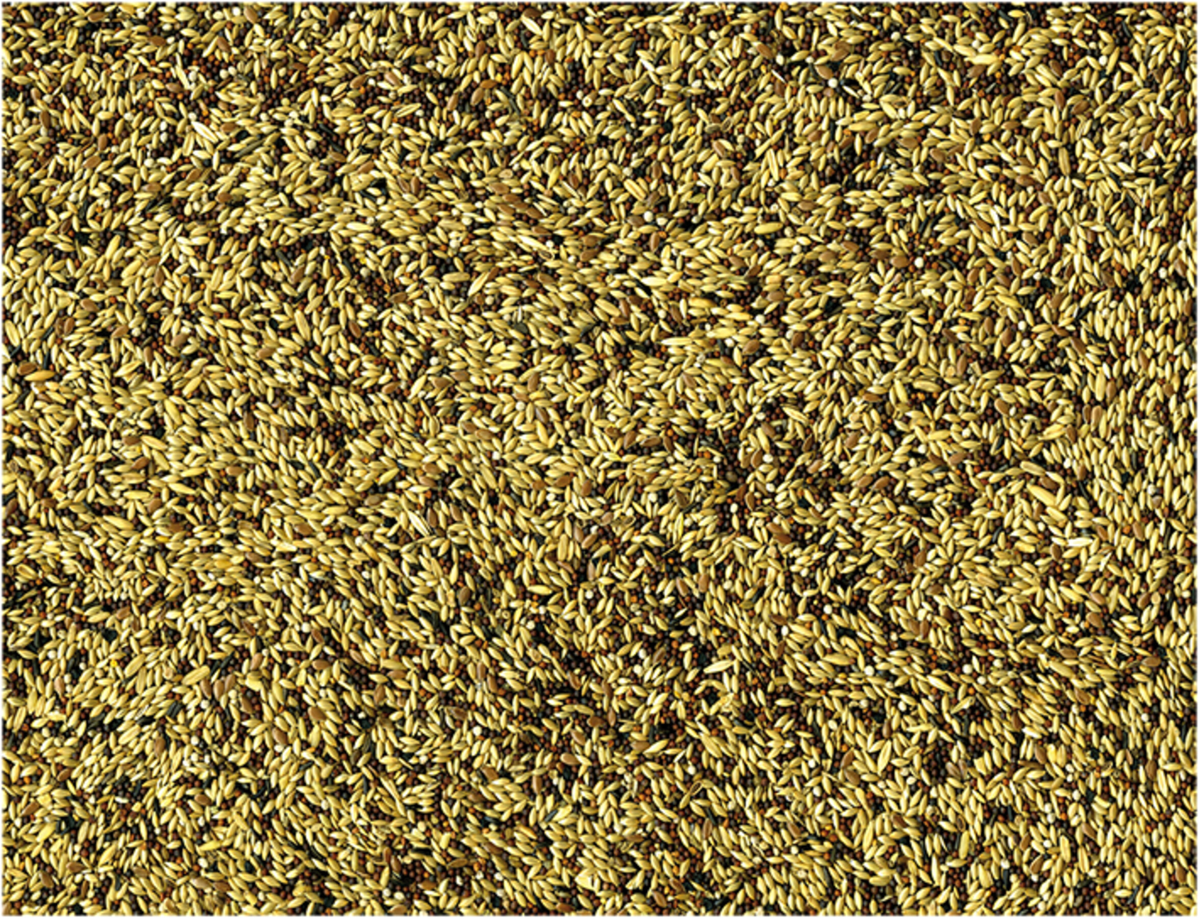 Vadigran Menu Canaries 1 kg 3