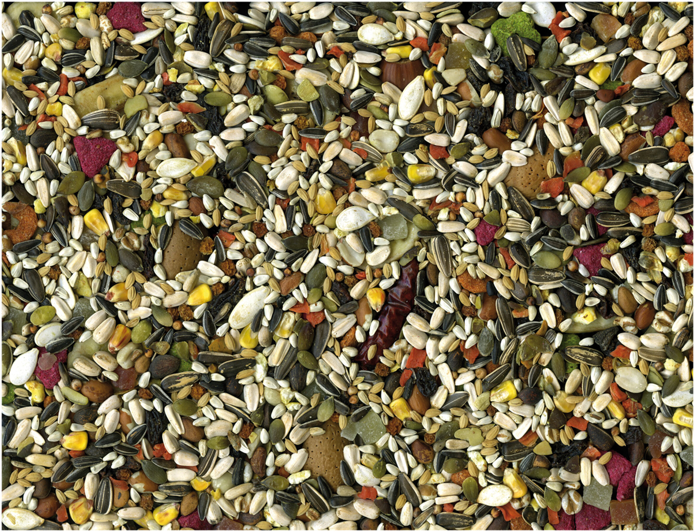 Vadigran Papegaaien Tropical 650gr 2